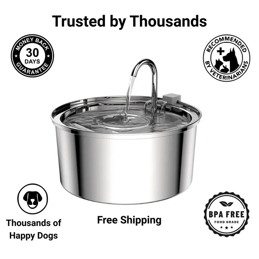 Furtaztic Flow™ Stainless Steel Dog Fountain