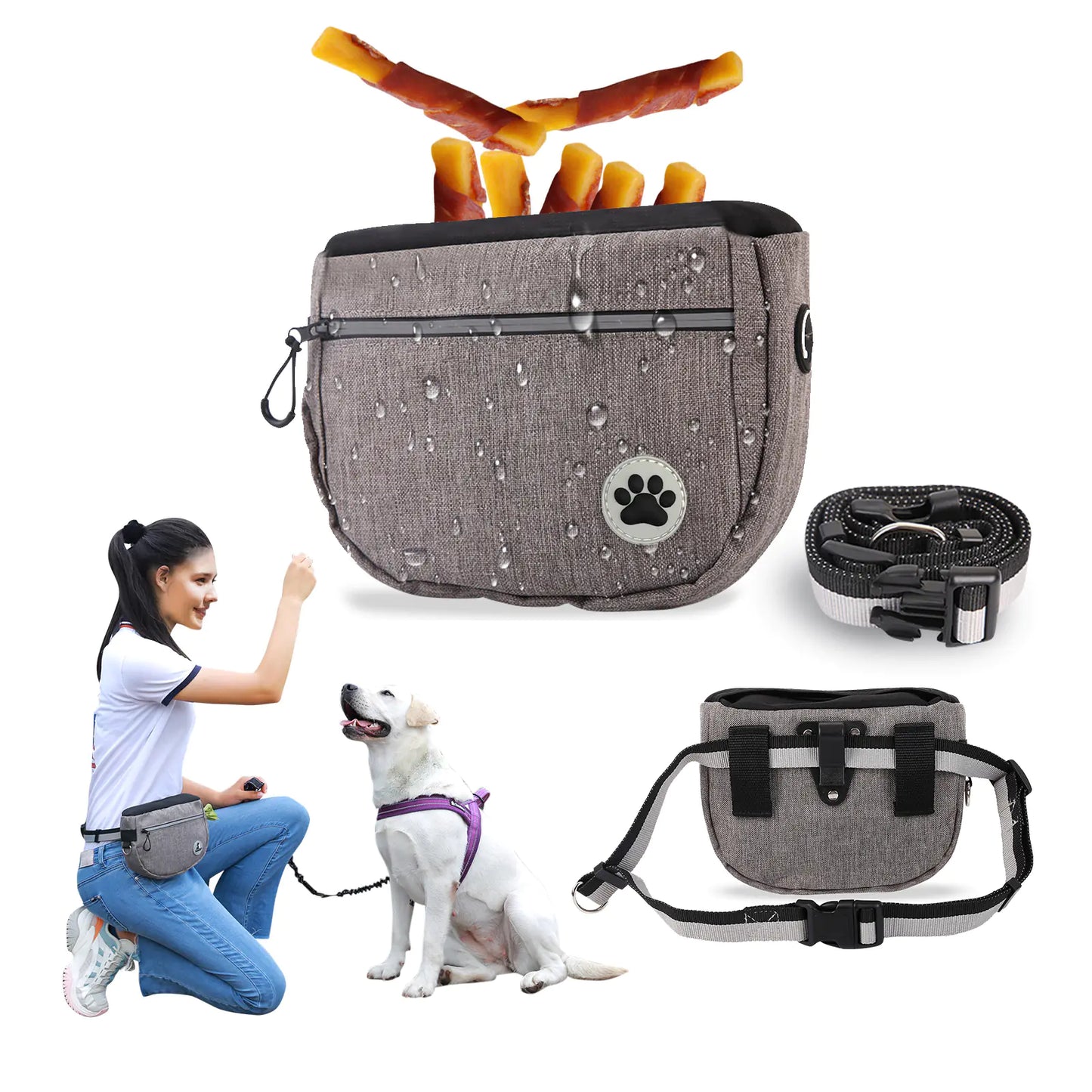 Dog Training Treat Bag – Fast Access, No Mess